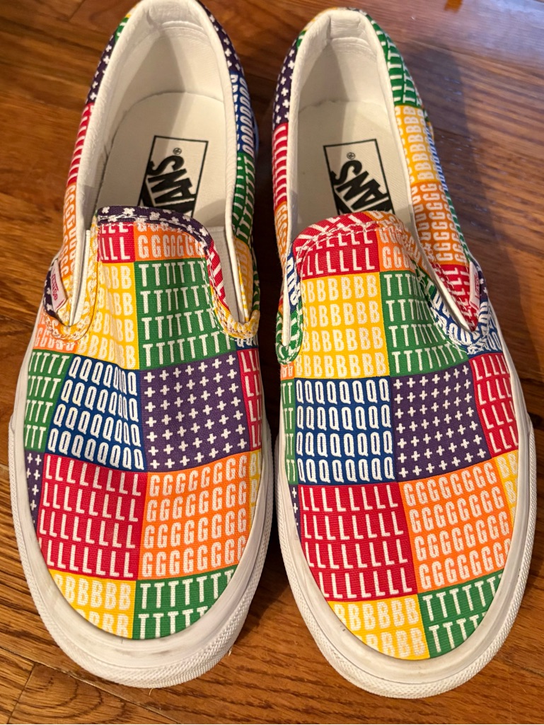 Vans Classic Slip On “Pride” Skate Shoes, Men’s Size 6, Euc